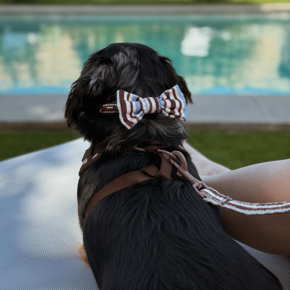 Brown & Blue Stripes Bow Tie