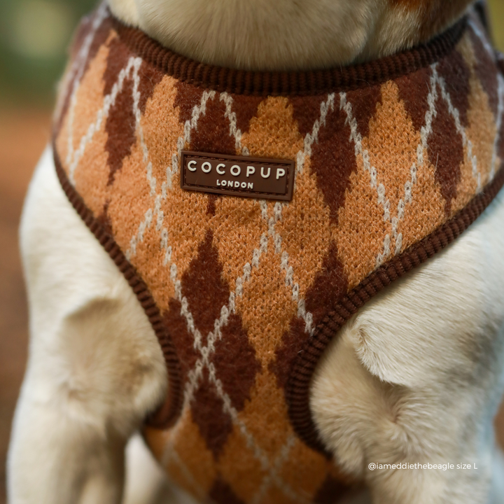close up of dog wearing Knit dog harness with a brown, tan, and white argyle pattern.