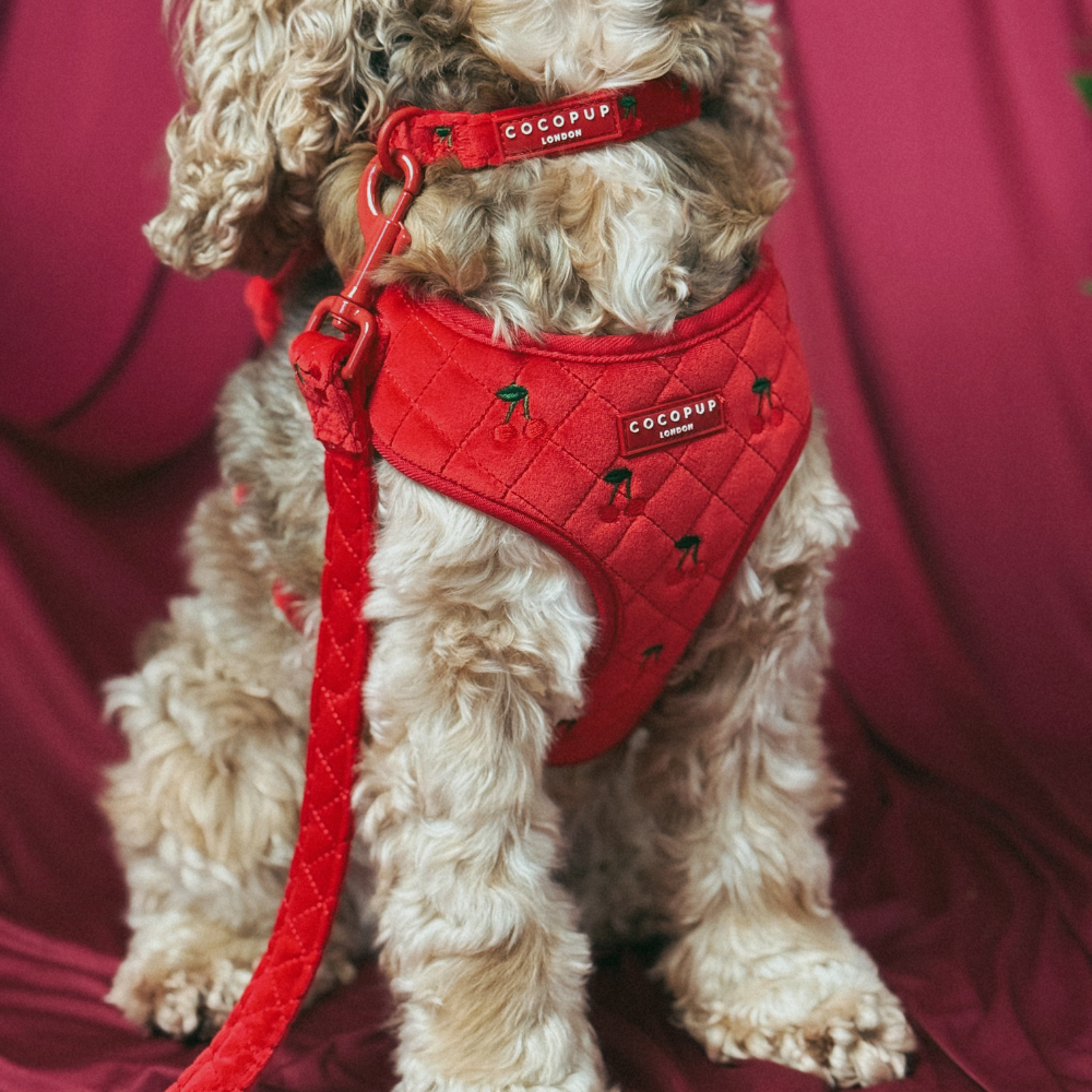 Cherry Velvet Crush Lead