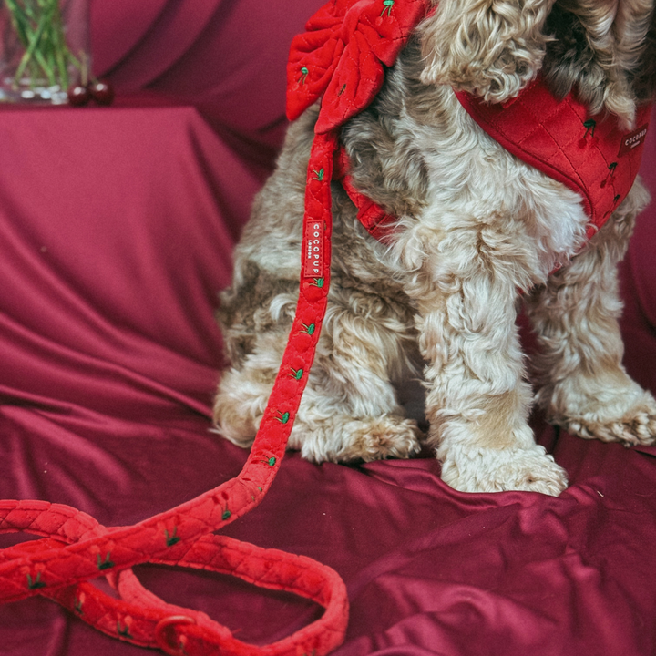 Cherry Velvet Crush Sailor Bow Tie
