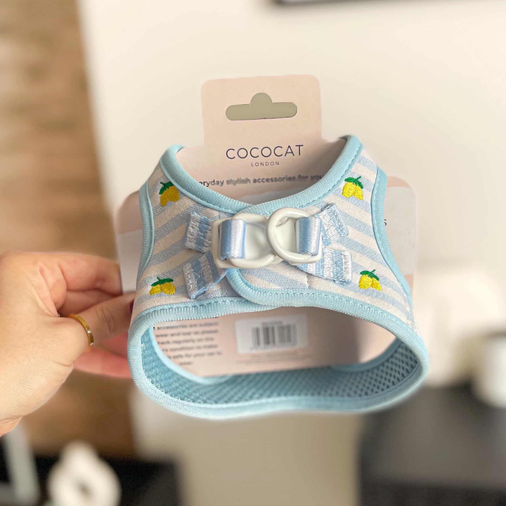 Cat Harness - Living La Vida Lemon