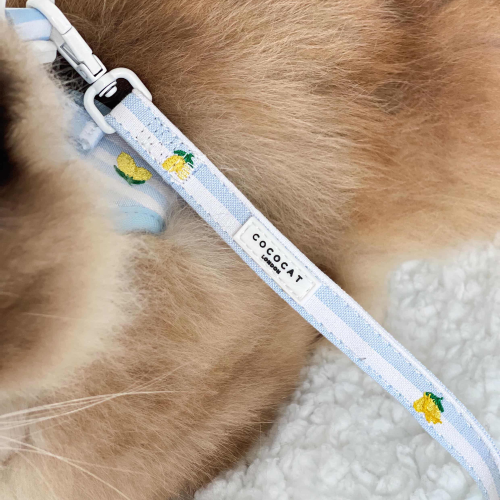 Cat Lead - Living La Vida Lemon