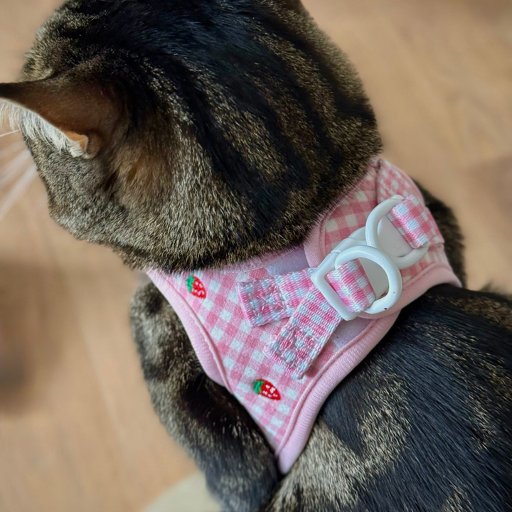 Cat Harness - Strawberry Picnic