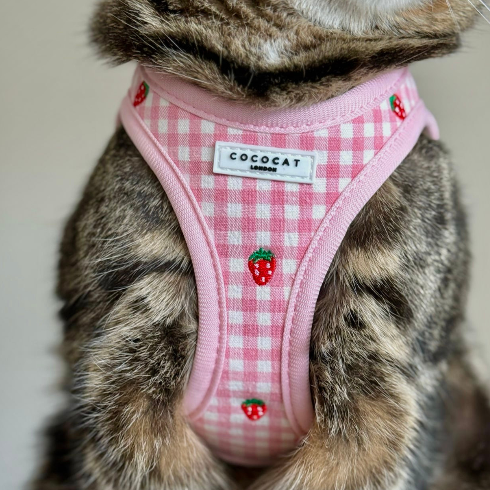 Cat Harness - Strawberry Picnic