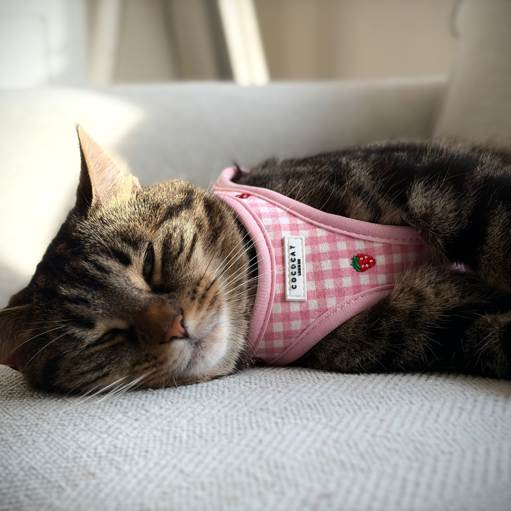 Cat Harness - Strawberry Picnic