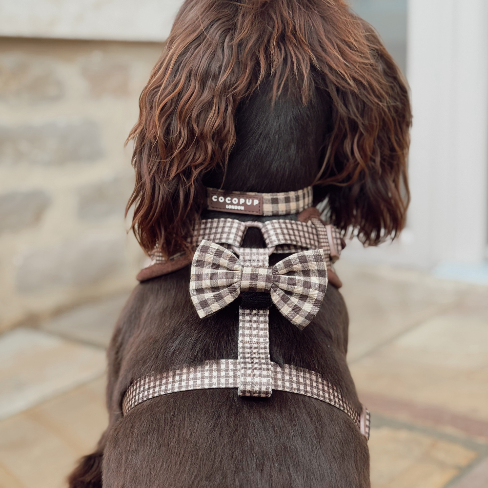 Cotswold Check Bow Tie