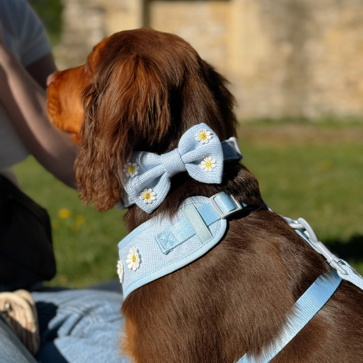 Blue Daisy Dream Bow Tie