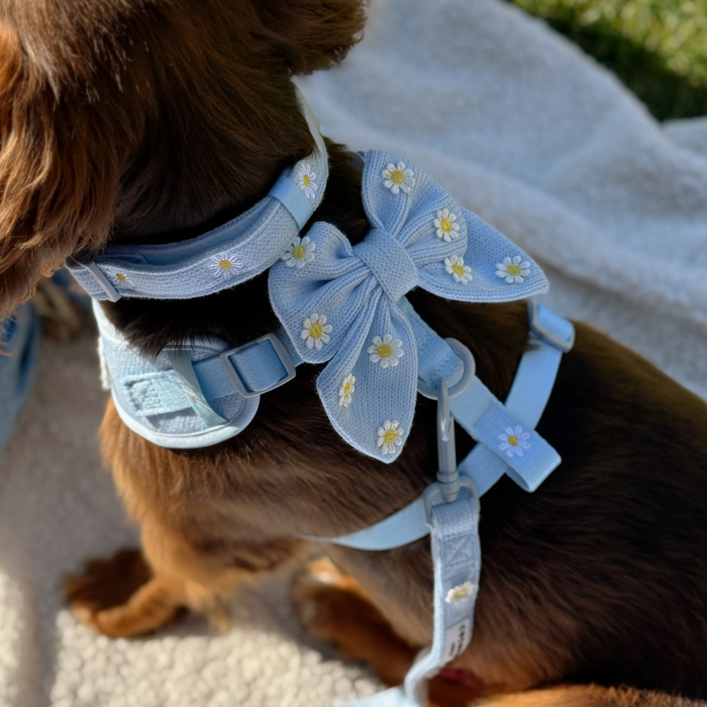 Blue Daisy Dream Sailor Bow Tie
