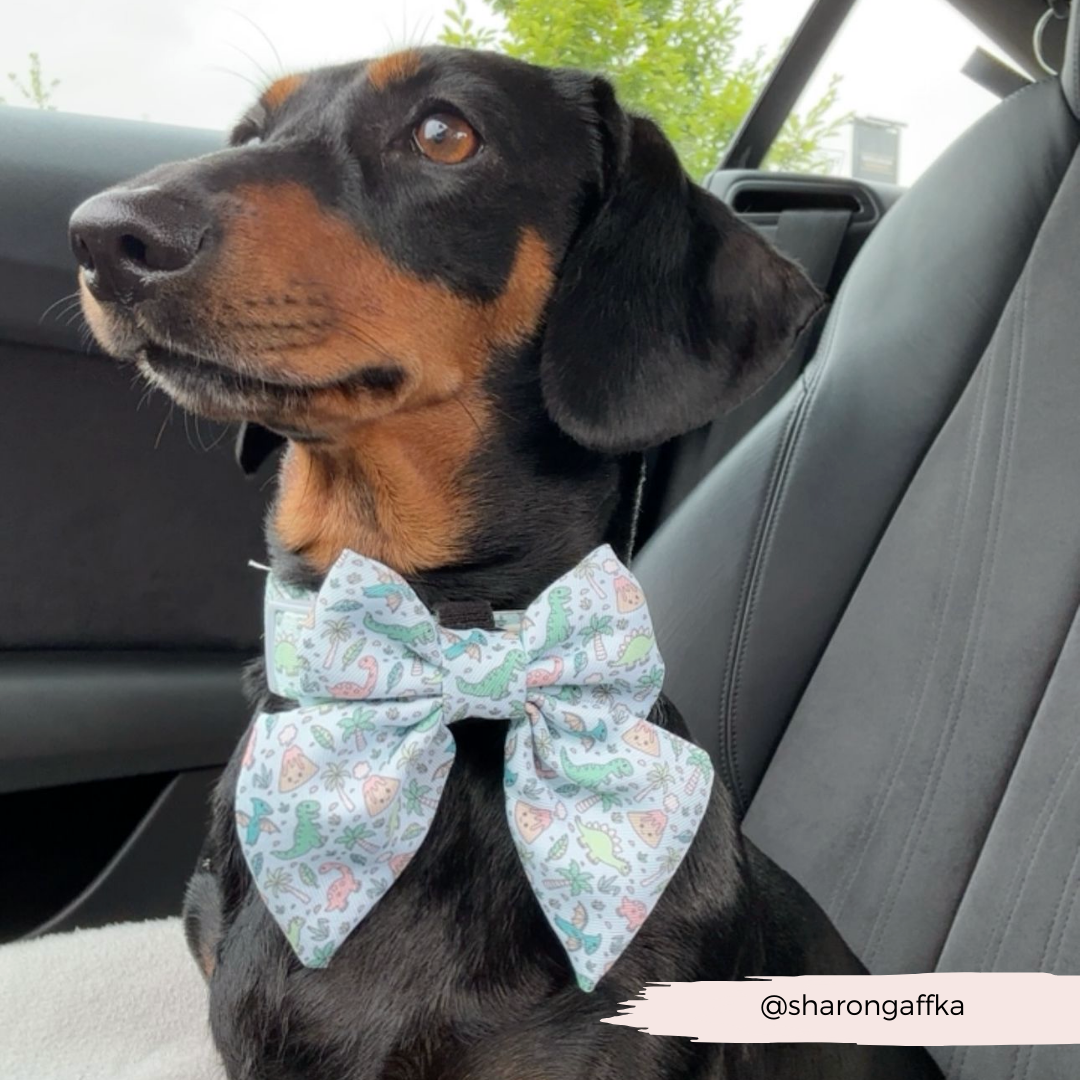 Dinopaws Sailor Bow Tie