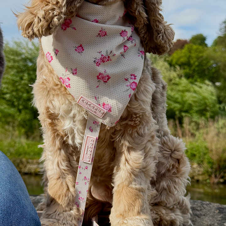 English Rose Bandana