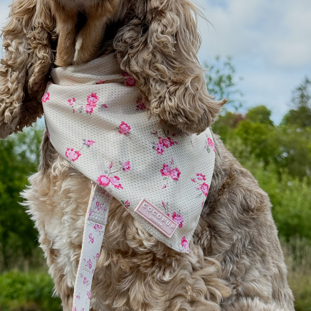English Rose Bandana