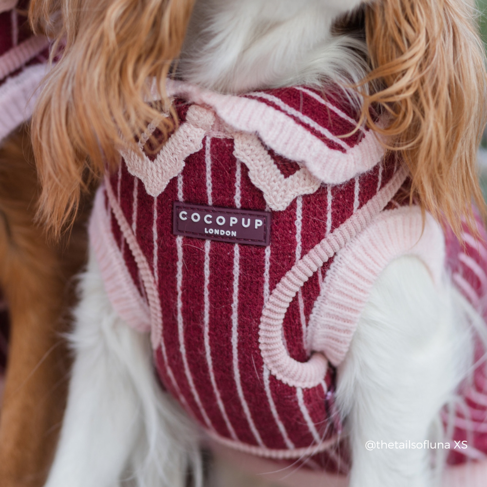 A close-up of a dog wearing a pink and burgundy striped knit harness with a visible Cocopup London brand label.