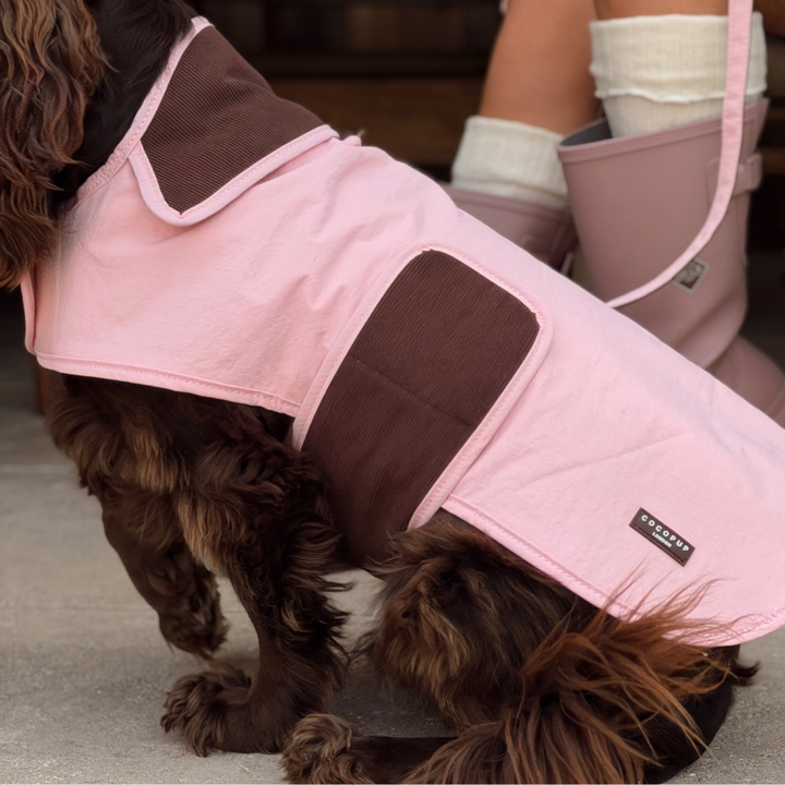 A brown dog wearing a pink and brown waterproof dog coat, with a person's legs in boots visible in the background.