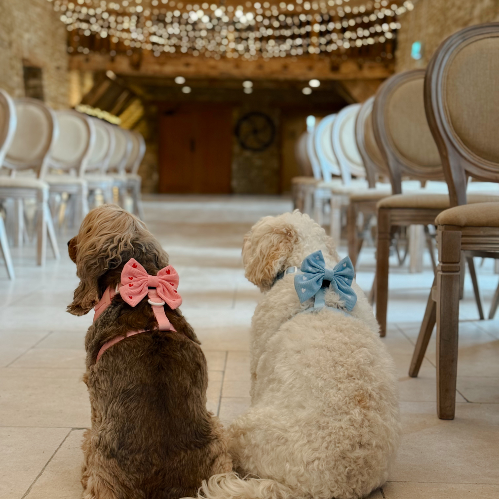 Pink Heartstrings Cord Sailor Bow Tie