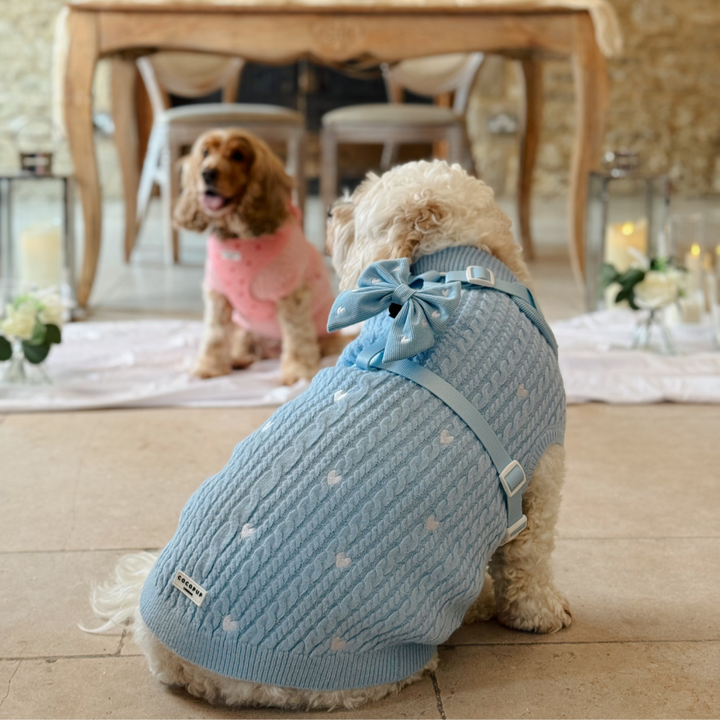 Blue Heartstrings Cord Sailor Bow Tie