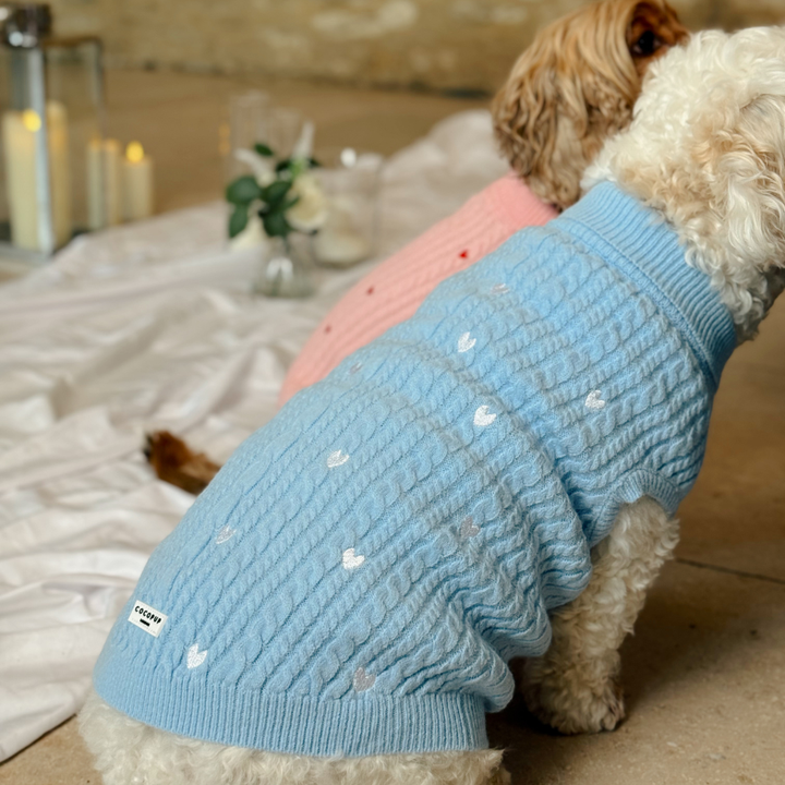 Blue Heartstrings Cord Jumper, Harness & Lead Bundle