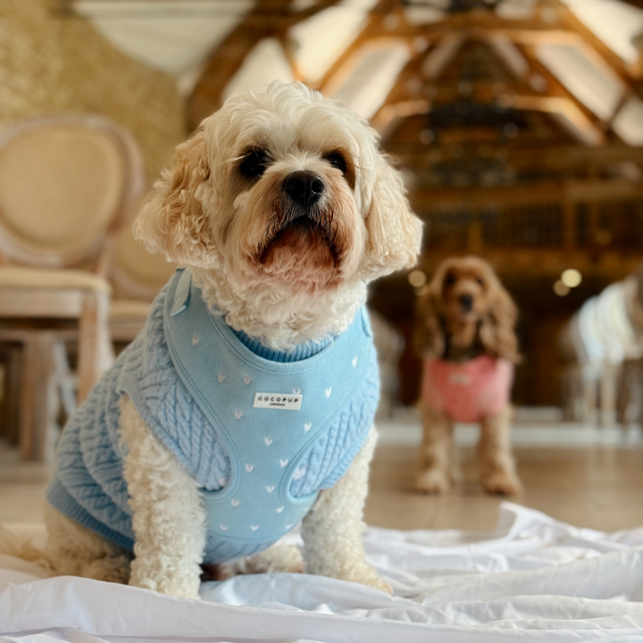 Blue Heartstrings Cord Adjustable Neck HARNESS