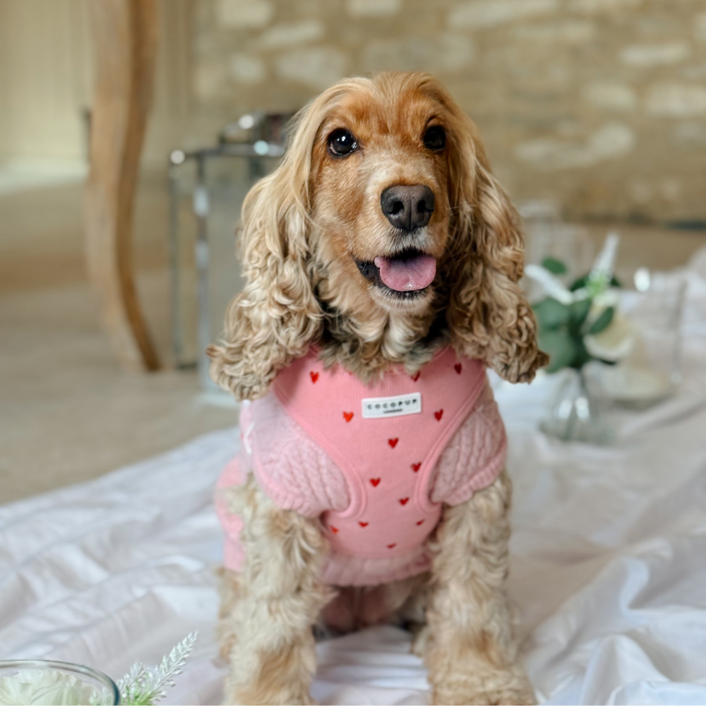 Pink Heartstrings Cord Adjustable Neck HARNESS