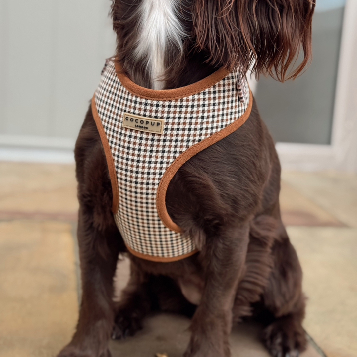 Heritage Check Adjustable Neck Harness, Lead & Collar Bundle