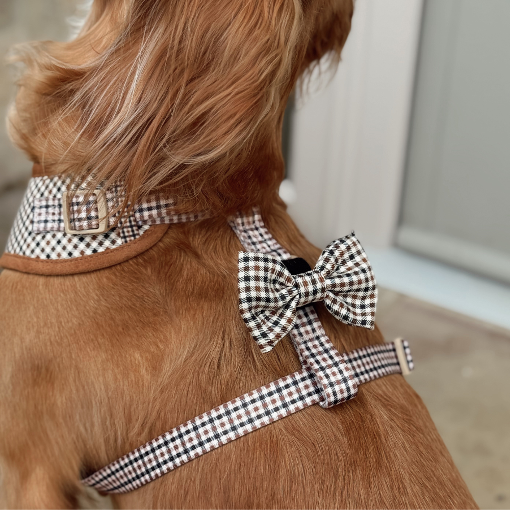 Heritage Check Bow Tie