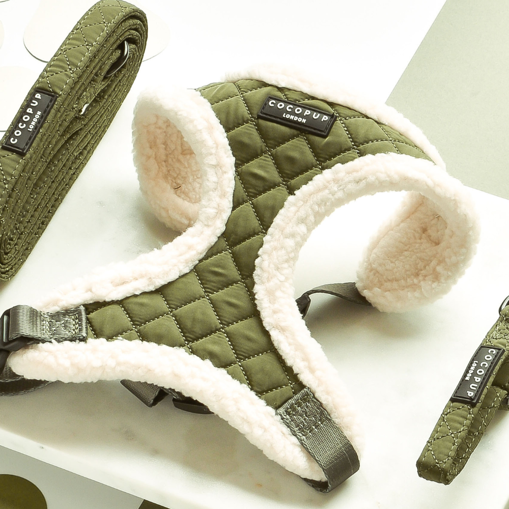 Khaki Quilted Adjustable Neck Harness, Lead & Collar Bundle