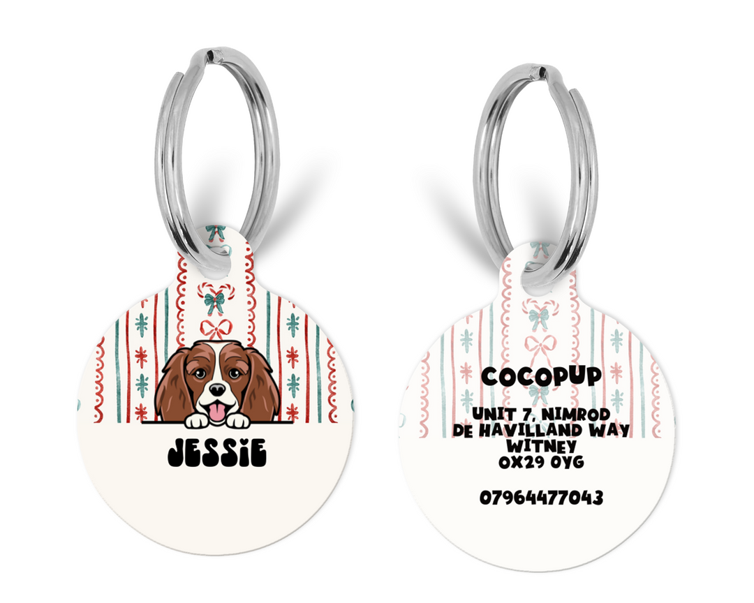 Personalised Dog Cartoon ID Tag - Let It Bow