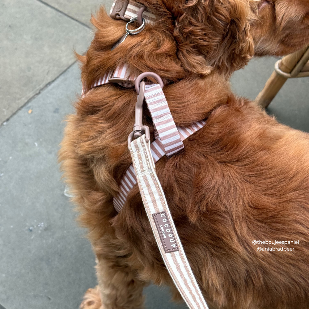 London Linen Stripes Lead