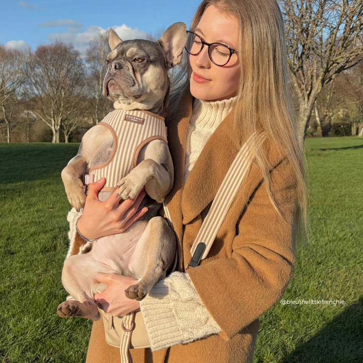 Woman holding a small dog in a park with trees and grass in the background