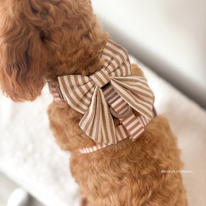 London Linen Stripes Sailor Bow Tie