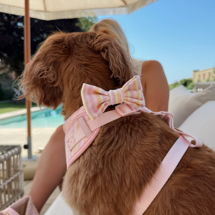 Pastel Stripes Bow Tie