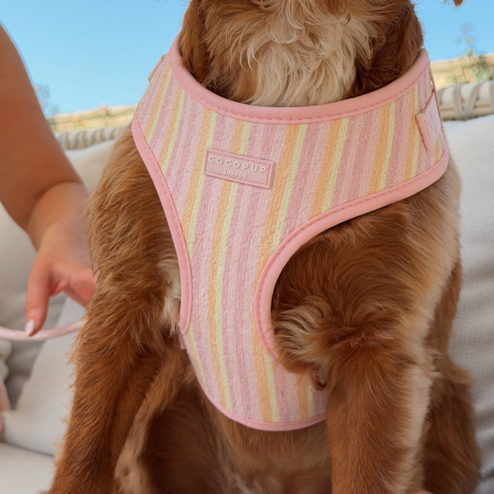 Pastel Stripes Adjustable Neck HARNESS