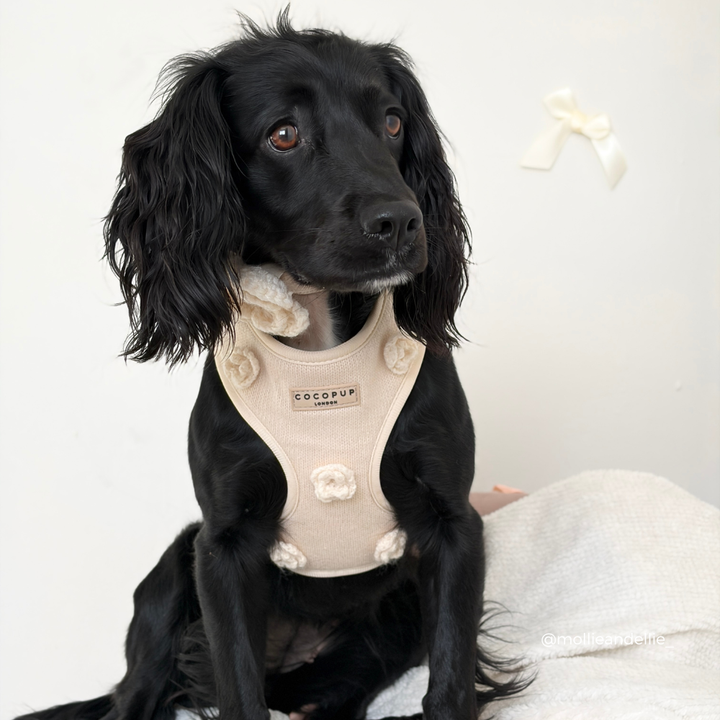 Petal Patch Adjustable Neck HARNESS