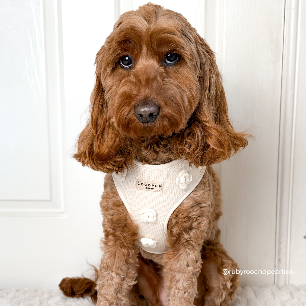 Petal Patch Adjustable Neck HARNESS