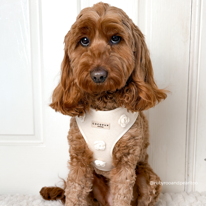 Petal Patch Adjustable Neck HARNESS