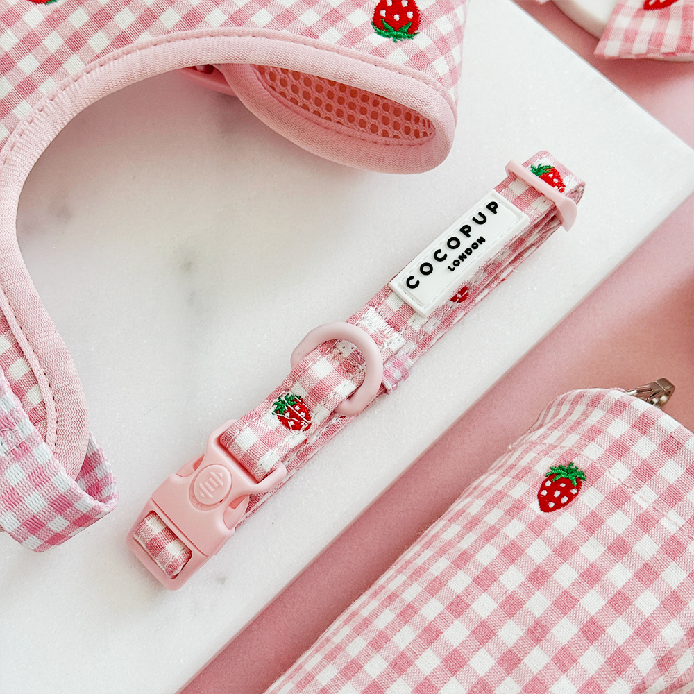 Strawberry Picnic Pup COLLAR