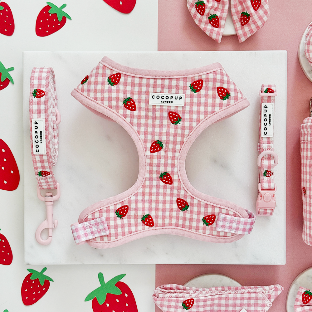 Strawberry Picnic Pup Adjustable Neck Harness, Lead & Collar Bundle