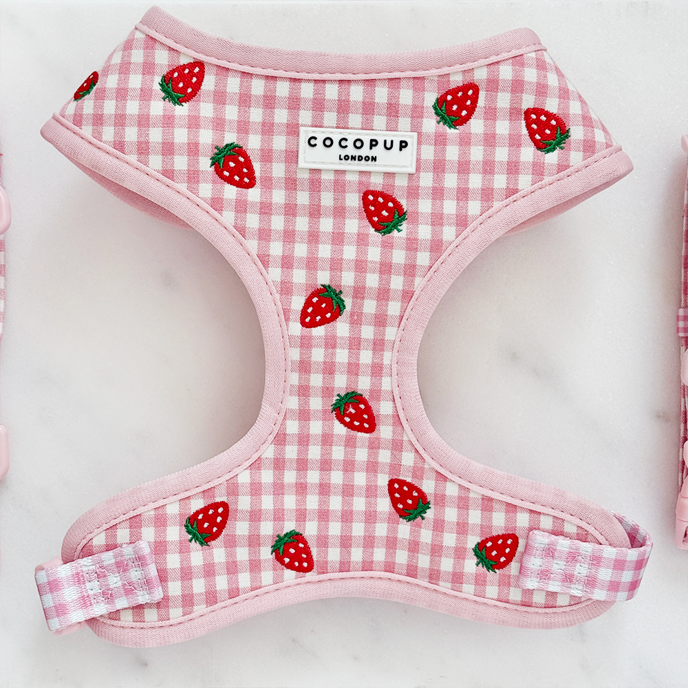Strawberry Picnic Pup Adjustable Neck HARNESS