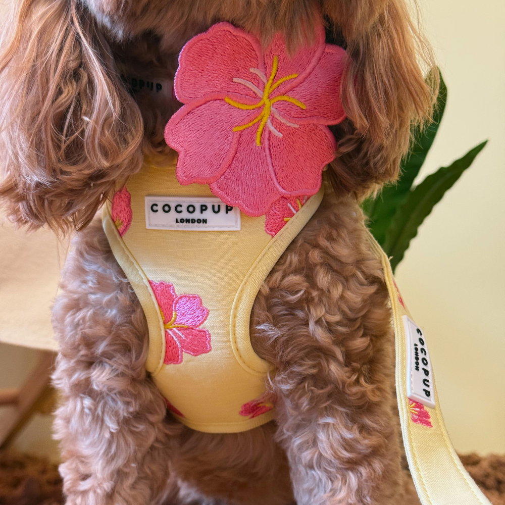 Pink Hibiscus Collar Flower
