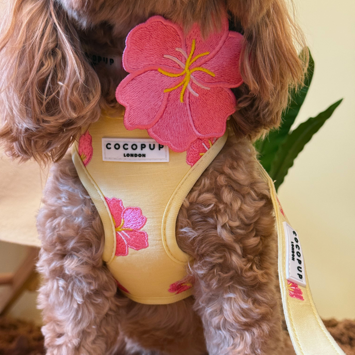 Pink Hibiscus Collar Flower