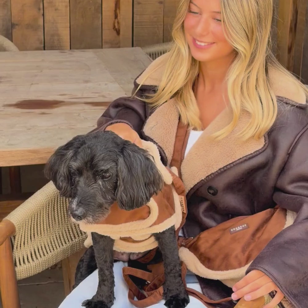 Dog Coat - Brown Aviator