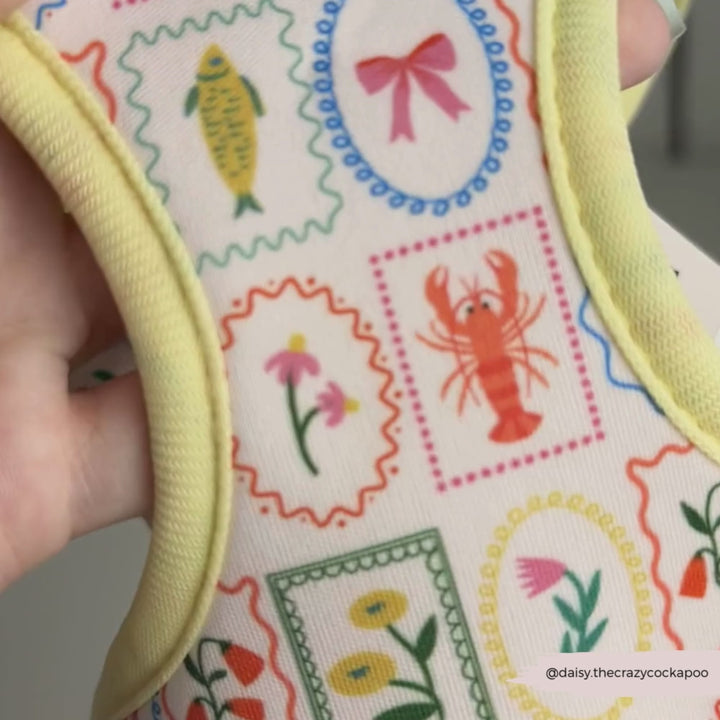 Dolce Vita Adjustable Neck HARNESS