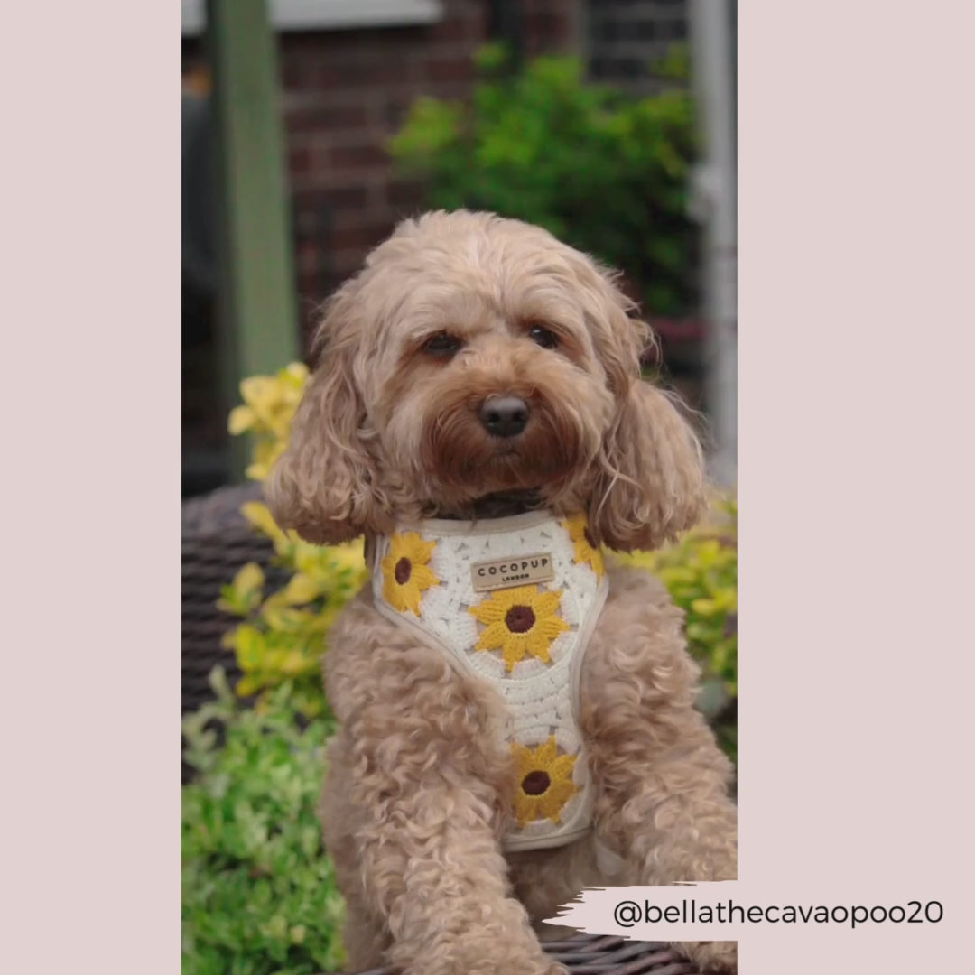 Sunflower Patch Adjustable Neck Harness