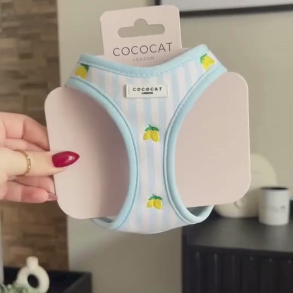Cat Collar - Living La Vida Lemon