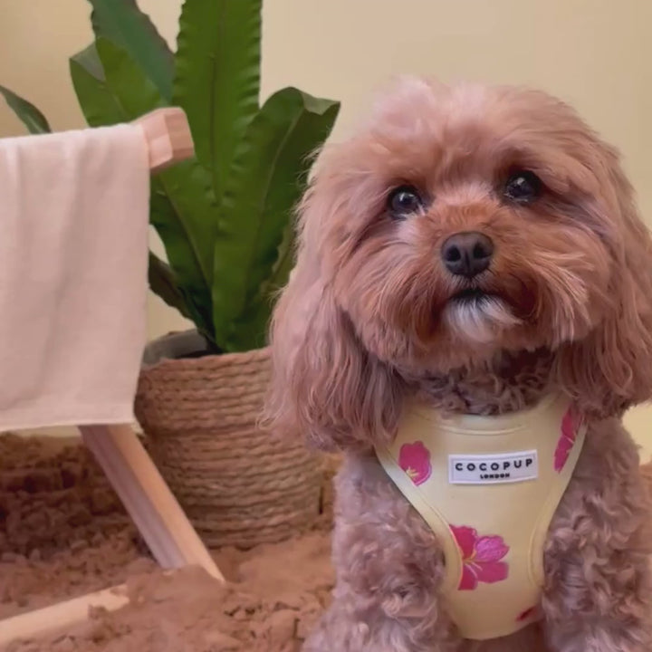 Pink Hibiscus Adjustable Neck Harness, Lead & Collar Bundle