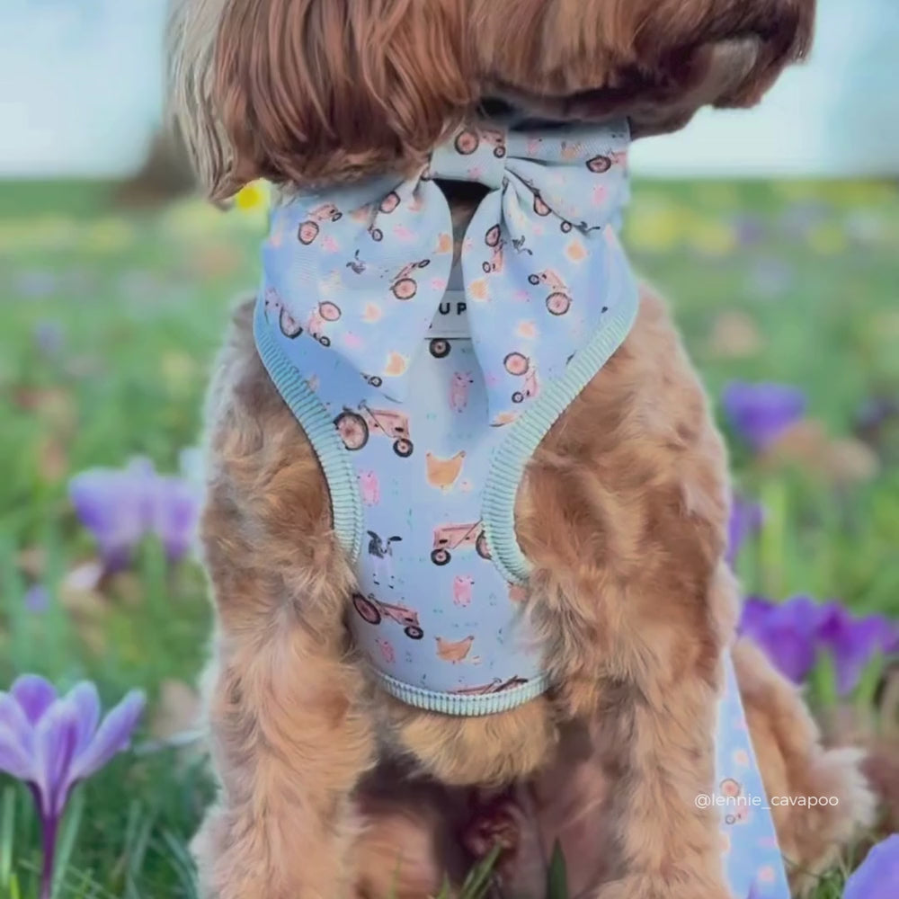 Barnyard Buddies Sailor Bow Tie