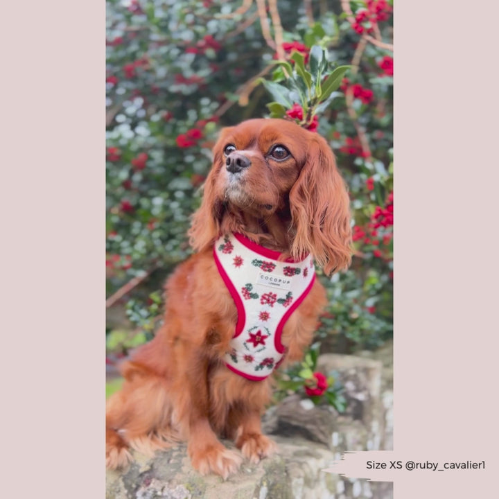 LUXE Embroidered Frosty Flower Harness