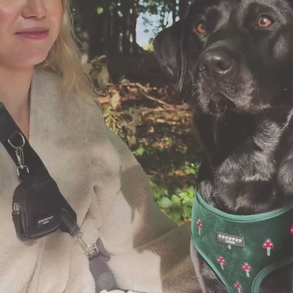 Toadstool Trails Adjustable Neck HARNESS