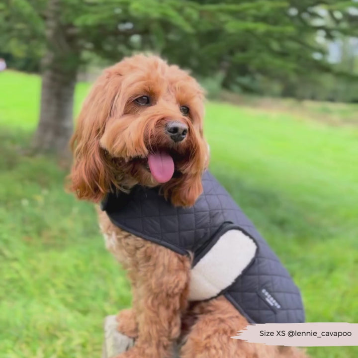 LUXE Quilted Dog Coat - Midnight Black