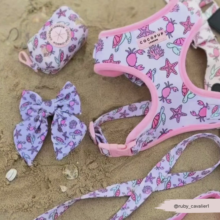 Pawcific Pink Reef Lead