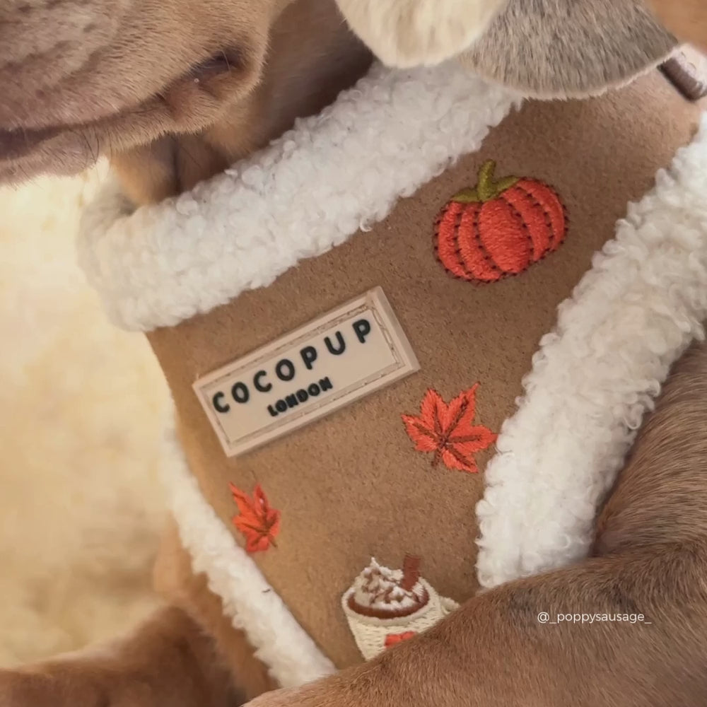 A close-up of sausage dogs wearing a tan and white trim harness with autumn-themed embroidered details including a pumpkin, mushroom, coffee cup, and leaves. The brand label reads 'COCOPUP LONDON'.